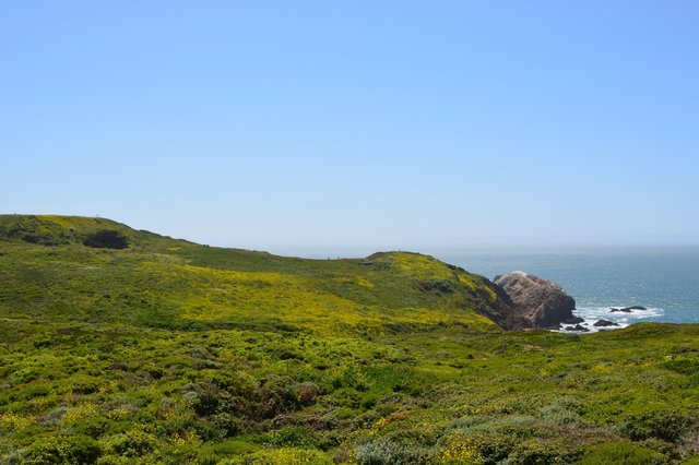 Marin Headlands