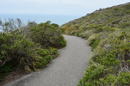 Coast trail, Marin Headlands, Golden Gate National Recreation Area