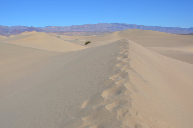 Stovepipe Wells dune field