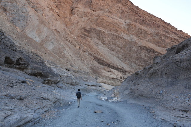 Willy walks in Mosaic Canyon