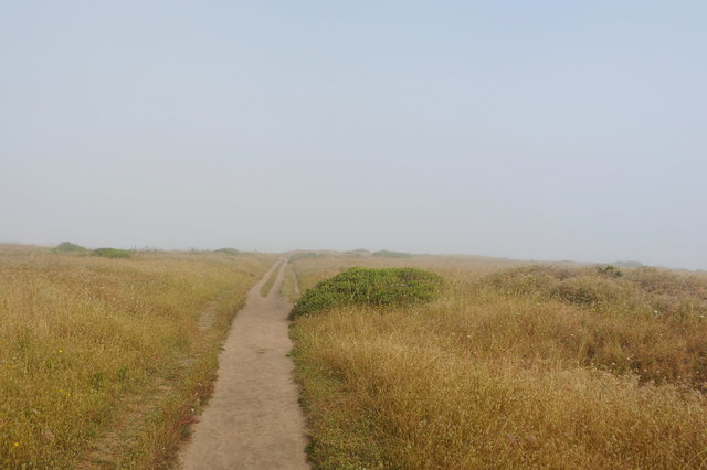 Trail to Tomales Point