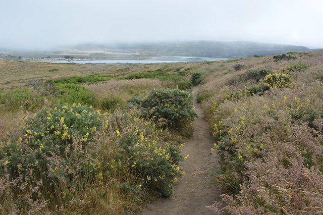 Trail to Tomales Point