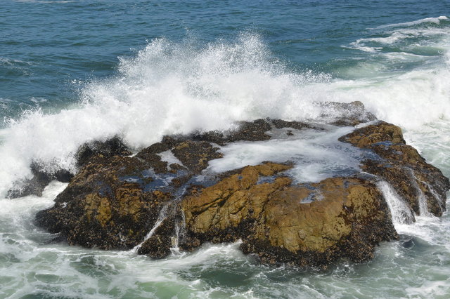 Waves break on rocks at Tomales Point