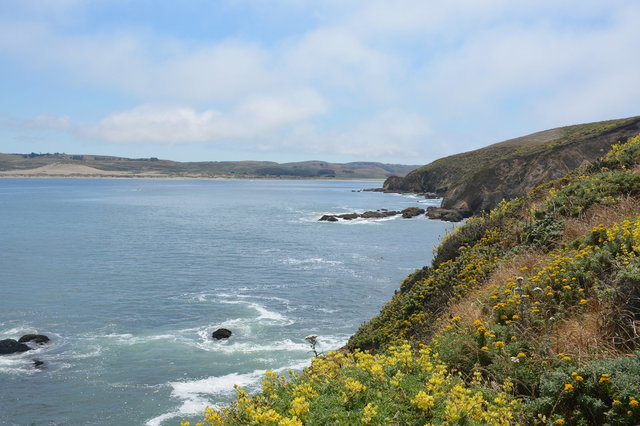 Tomales Bay