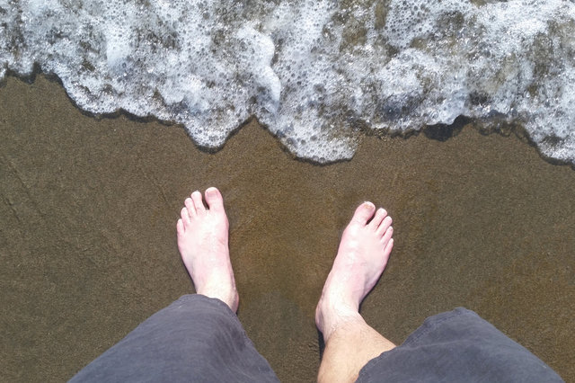 Jaeger's feet in the Pacific Ocean