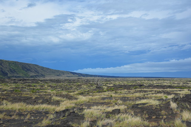 Coastal plain above the ocean