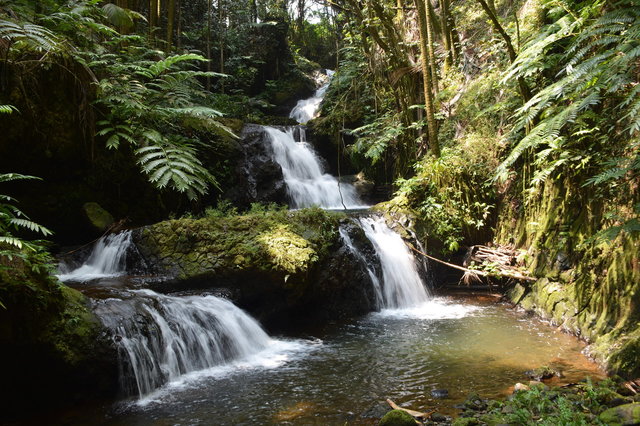 Cascades in the jungle at Hawaii Tropical Botanical Garden