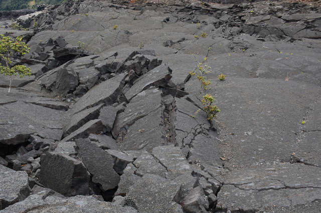 Craked lava in Kilauea Iki Crater