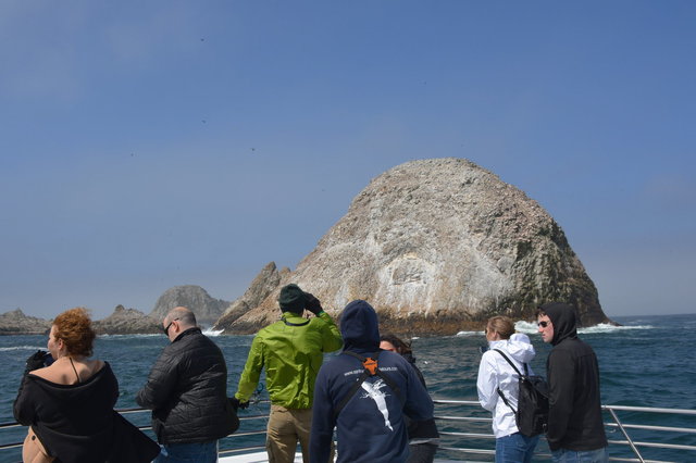 Whale-watching tourists at the Faralon Islands