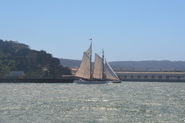 Schooner Alma sailing out of Aquatic Park