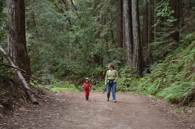 Julian and Kiesa walk in the Forest of Nisene Marks