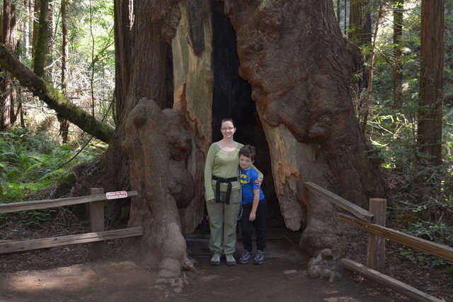 Kiesa and Calvin in front of a redwood tree