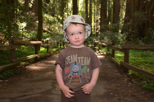 Julian in Muir Woods