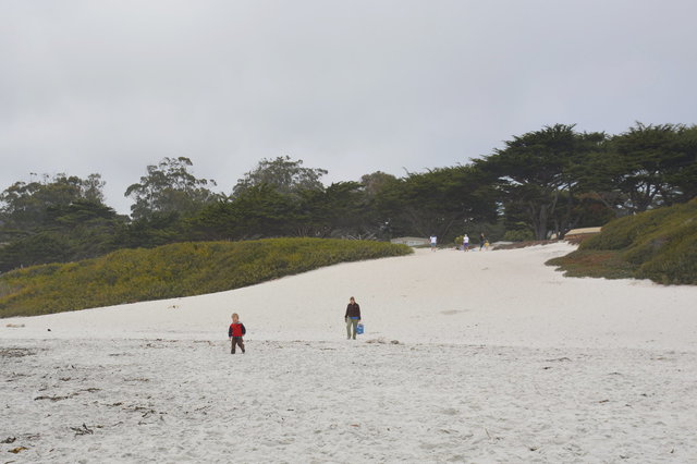 Julian and Kiesa on Carmel Beach