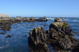 Waves break on Asilomar State Marine Reserve