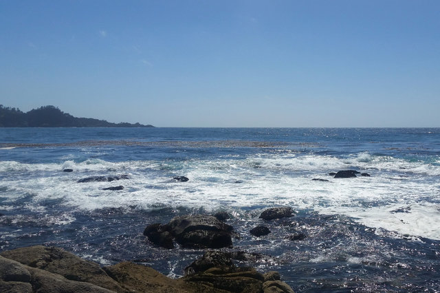 Carmel River State Beach