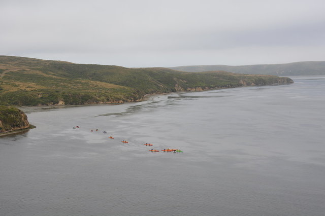 Kayakers in Drakes Estero