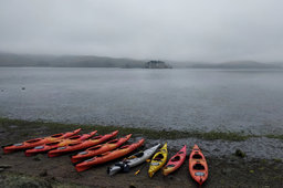 Kayaks lined up to launch on Tomales Bay