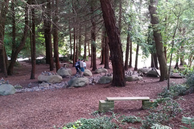 Redwood forest in the National AIDS Memorial Grove 