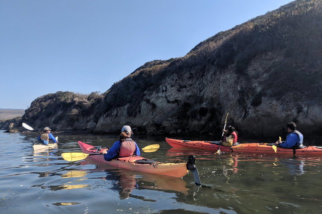 Kayaks near shore in Drakes Estero