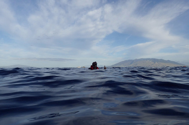 Jaeger snorkels inside Molokini Crater