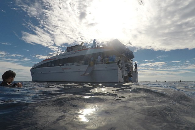 Ocean Quest in Manele Bay