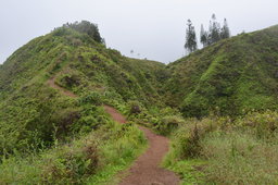 Ascending Waihe'e Ridge