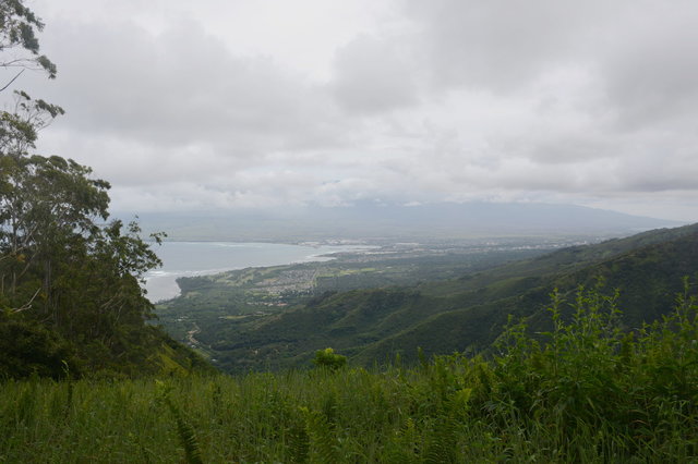 Looking down towards Kahului