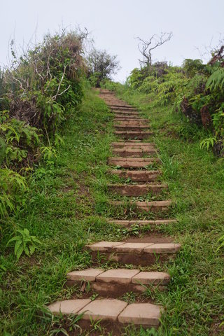 Stairs climbing Waihe'e Ridge