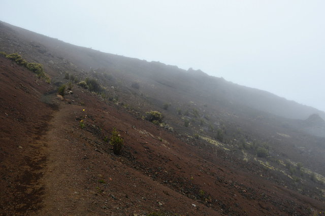 Fog shrouds Haleakalā