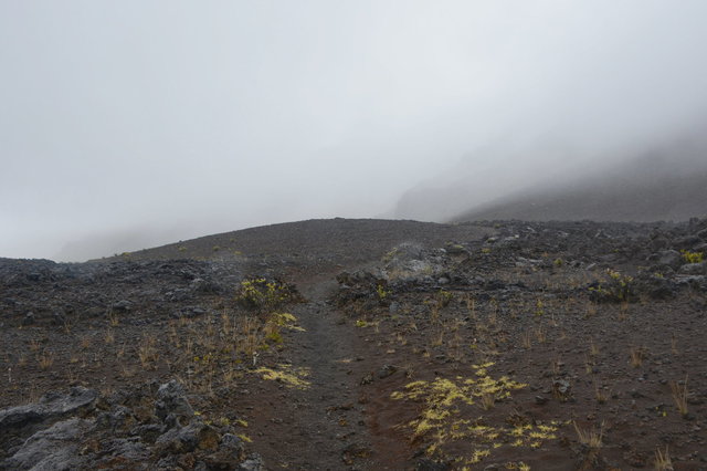 Sliding Sands Trail descends into fog