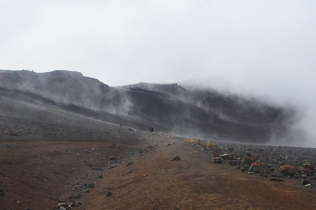 Hikers climb in the fog on the Sliding Sands Trail