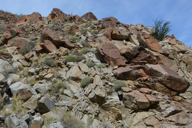 Hillside above Hellhole Canyon