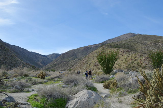 Hikers leave Hellhole Canyon