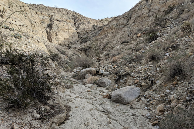 Dry wash in desert foothills