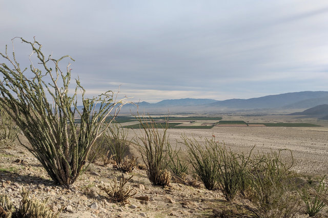 Borrego Valley from the summit of Point 1651