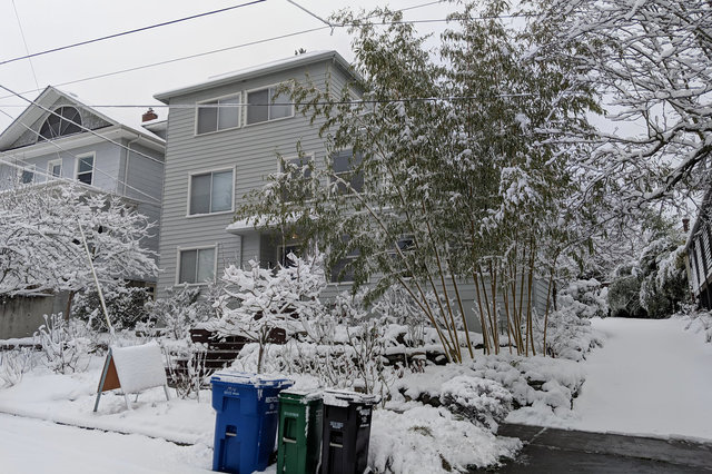 Snow in Wallingford