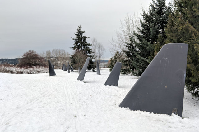 The Fin Project in snow