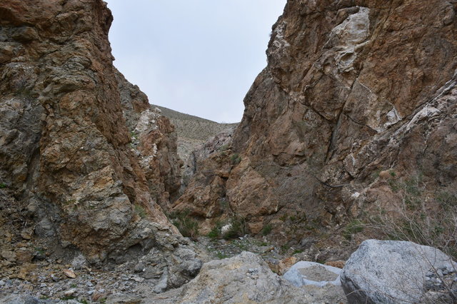 Smoke Tree Canyon