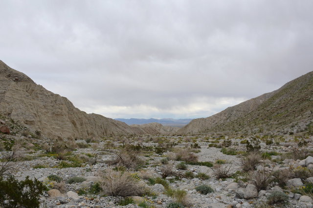 Smoke Tree Canyon opens onto Borrego Valley