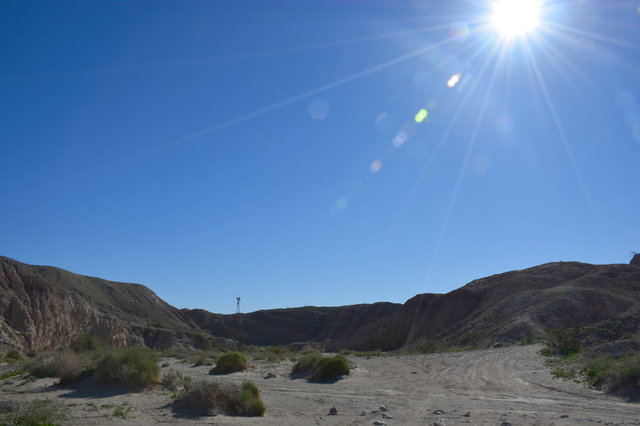 Desert sun above Palm Tree Wash