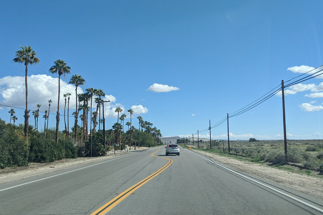 Palm Canyon Drive