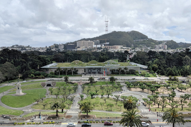 Looking down at the California Academy of Sciences