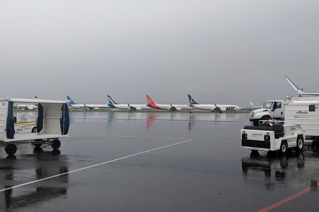 737 Max jets lined up at Paine Field