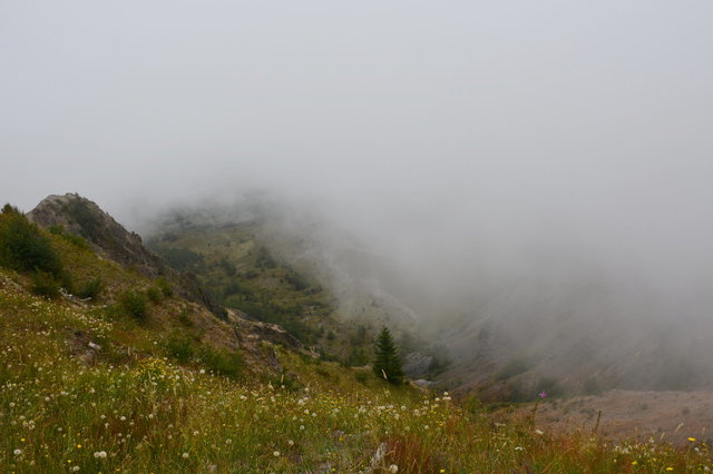 Looking down from Johnston Ridge in the fog