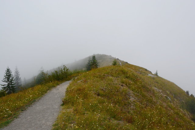 Trail on Johnston Ridge in the fog