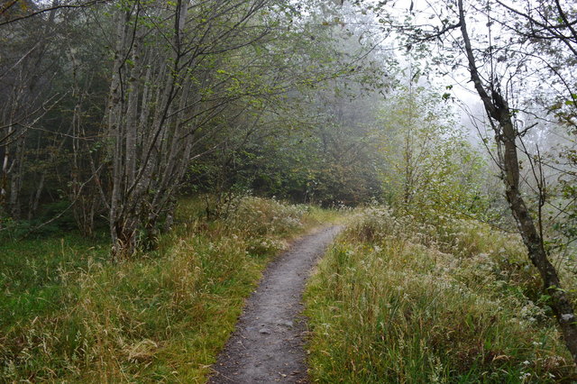 Trail leading through the hummocks