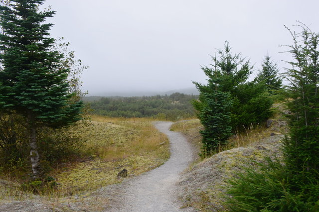 Hummocks trail