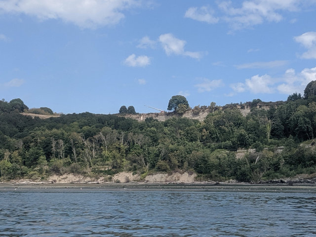 Cliff rescue at Discovery Park