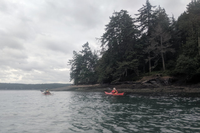 Kayaks approach Skagit Island